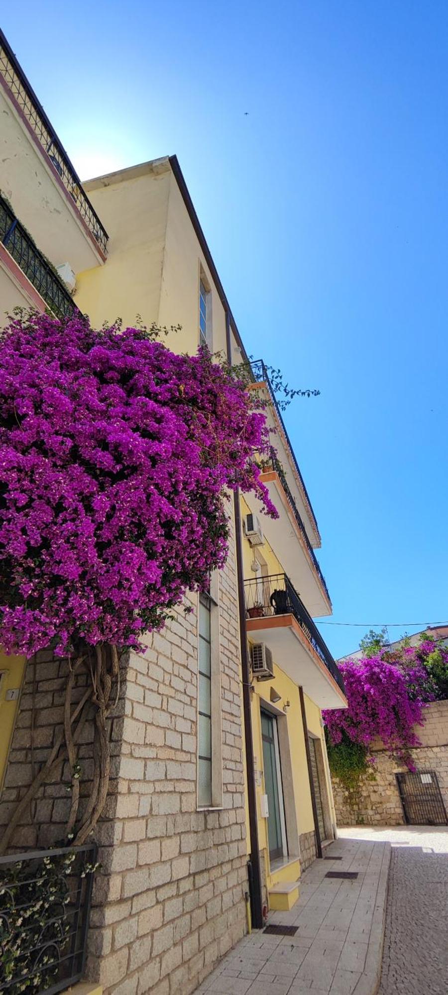 Attico Da Vinci Luxury Penthouse Apartment Olbia